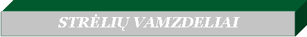 �������: STRĖLIŲ VAMZDELIAI