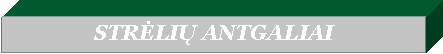 �������: STRĖLIŲ ANTGALIAI 